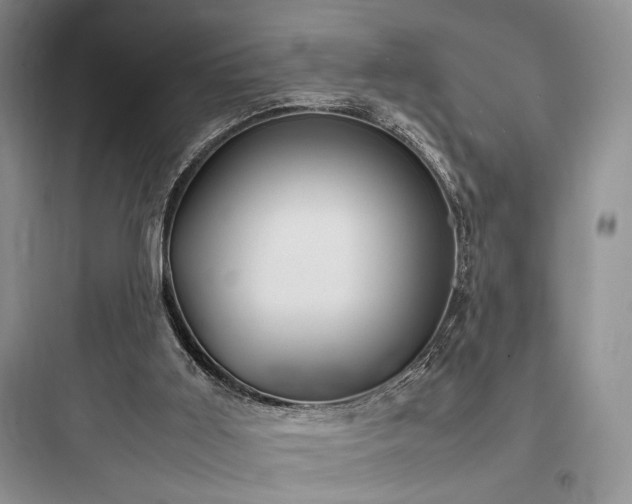 X0000097900011200803211452