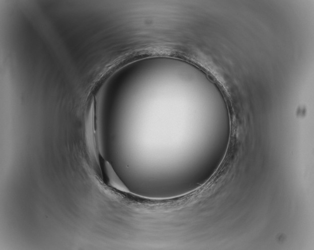 X0000097900013200803211452