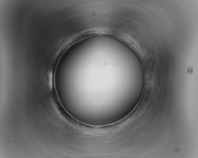 X0000097900014200803211452