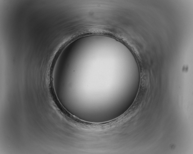 X0000097900015200803211452
