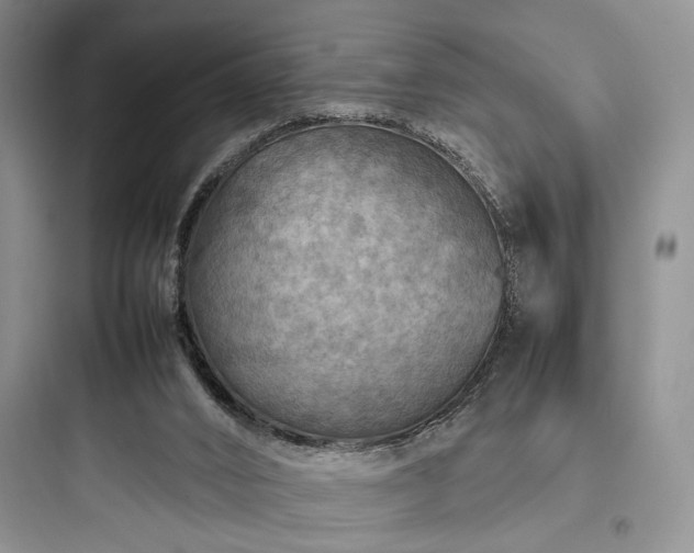 X0000097900016200803211452