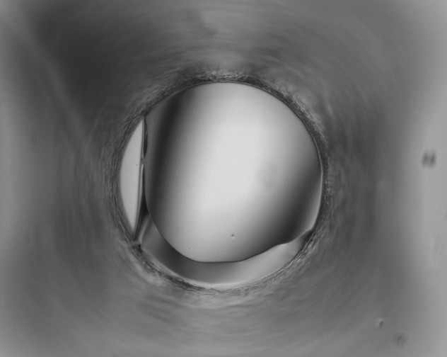 X0000097900017200803211452