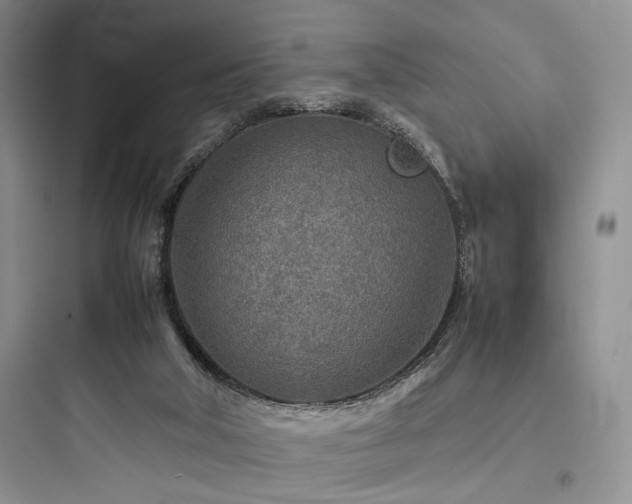 X0000097900018200803211452