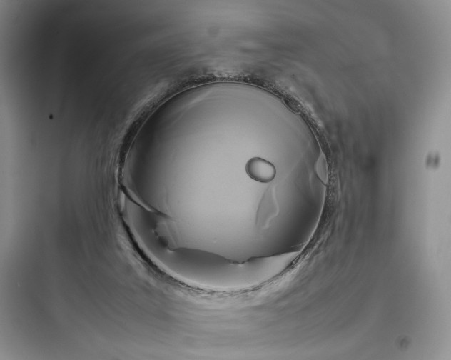 X0000097900019200803211452