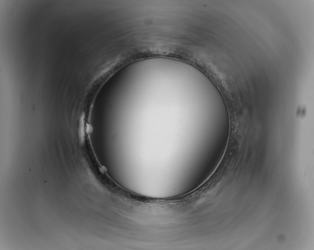 X0000097900020200803211452