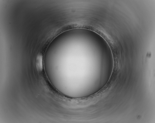 X0000097900022200803211452