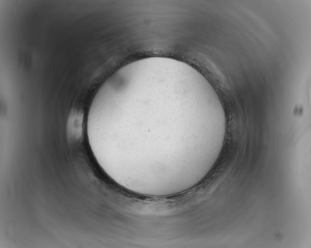 X0000097900024200803211452