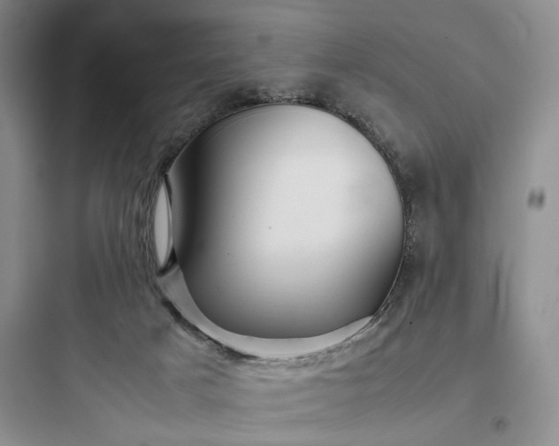 X0000097900025200803211452