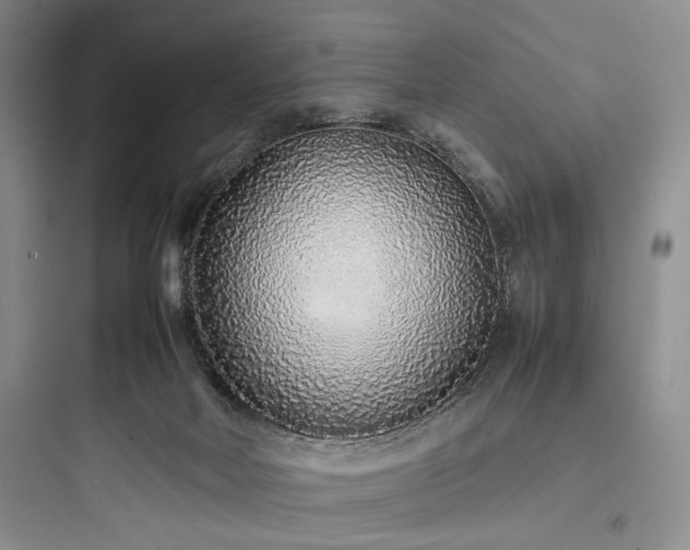 X0000097900026200803211452