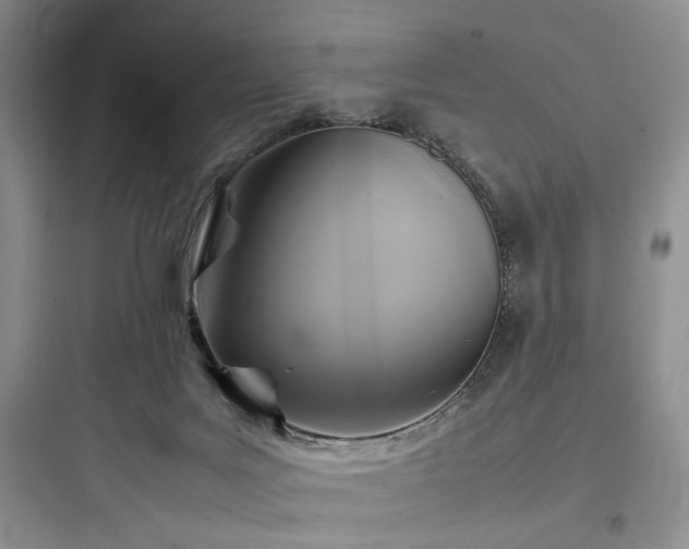 X0000097900027200803211452