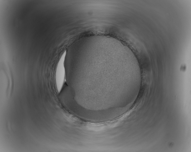 X0000097900029200803211452
