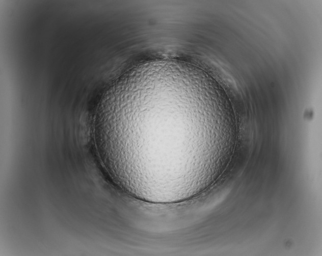 X0000097900030200803211452