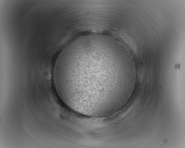 X0000097900032200803211452