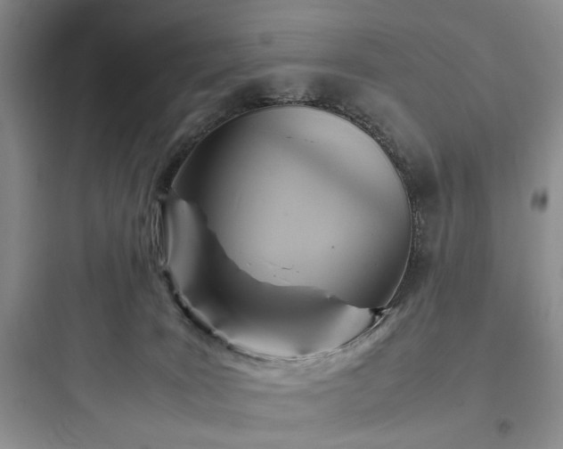 X0000097900035200803211452