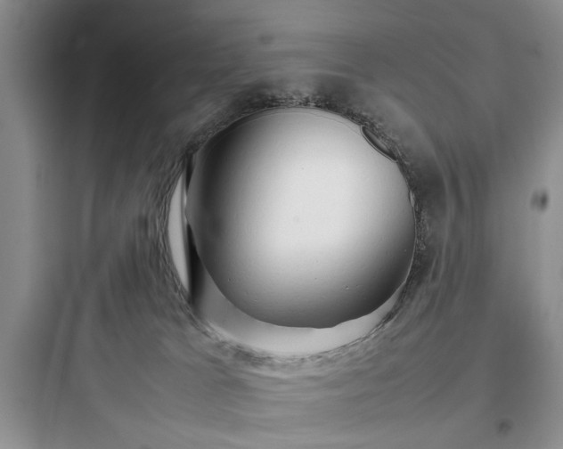 X0000097900037200803211452
