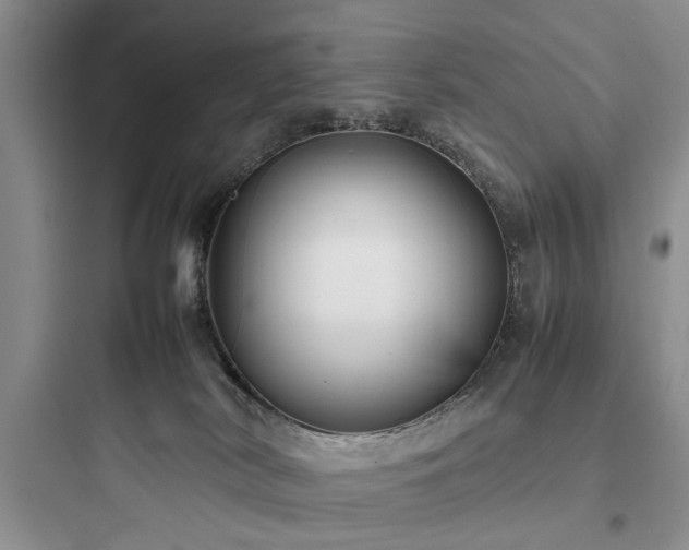 X0000097900038200803211452