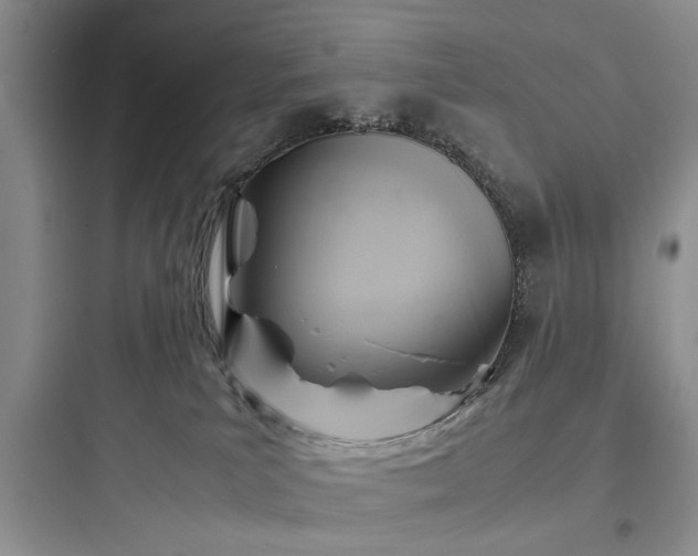 X0000097900039200803211452