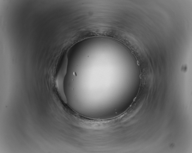 X0000097900040200803211452