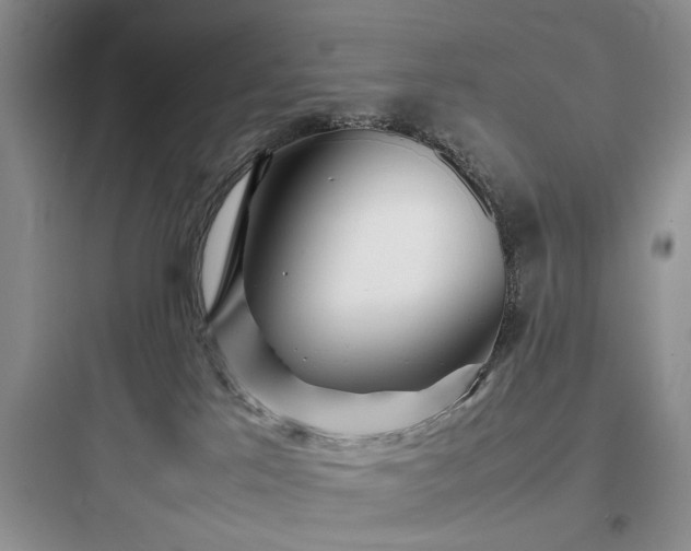 X0000097900041200803211452