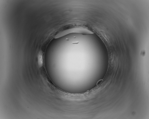 X0000097900042200803211452