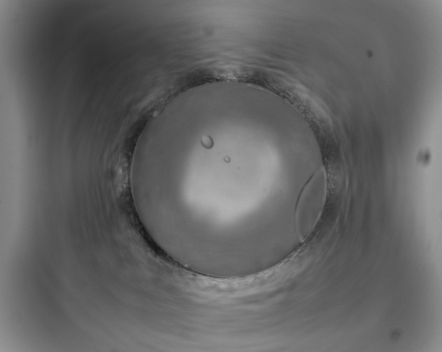 X0000097900043200803211452