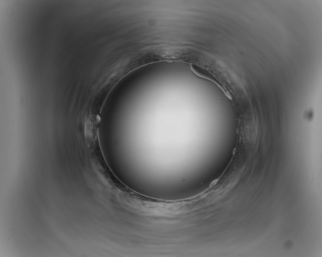 X0000097900044200803211451