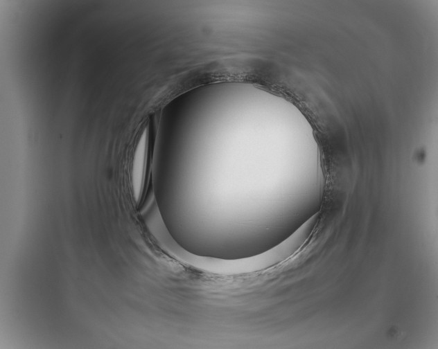 X0000097900045200803211451