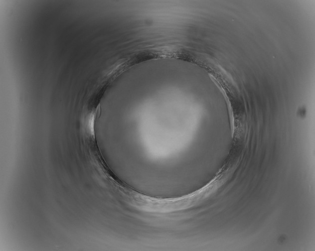 X0000097900047200803211451