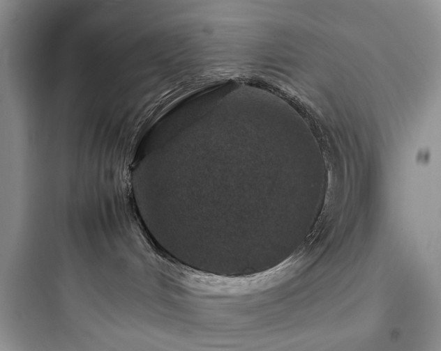 X0000097900048200803211451