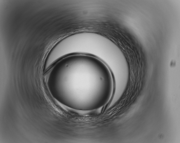 X0000097900049200803211451