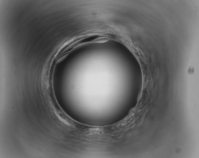 X0000097900050200803211451