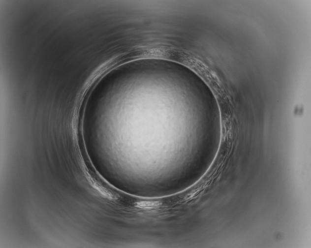 X0000097900051200803211451