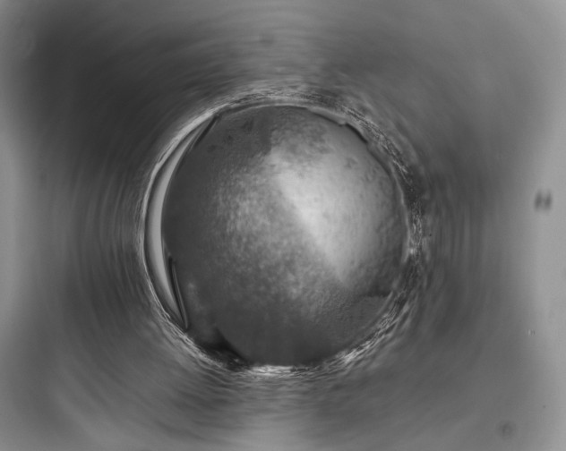 X0000097900052200803211451