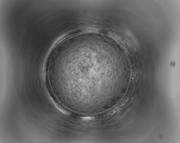 X0000097900053200803211451