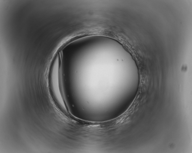 X0000097900054200803211451
