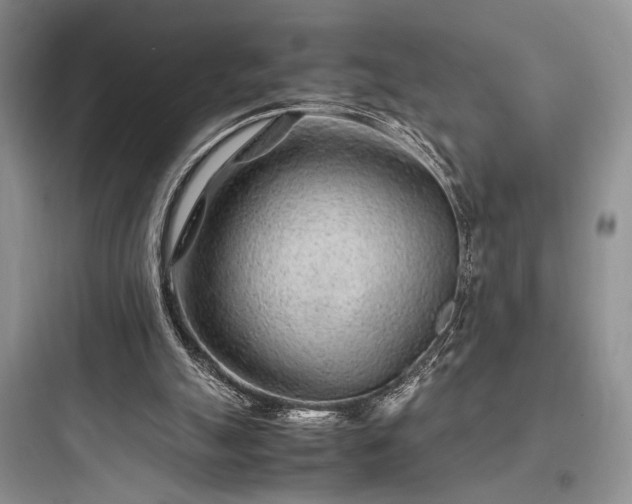 X0000097900055200803211451