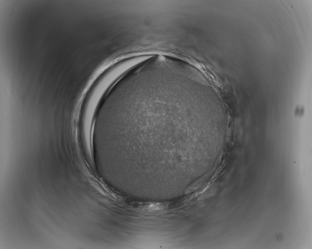 X0000097900056200803211451