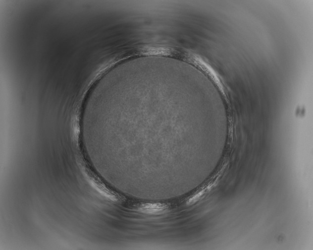 X0000097900059200803211451