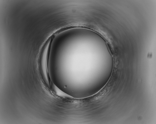 X0000097900060200803211451