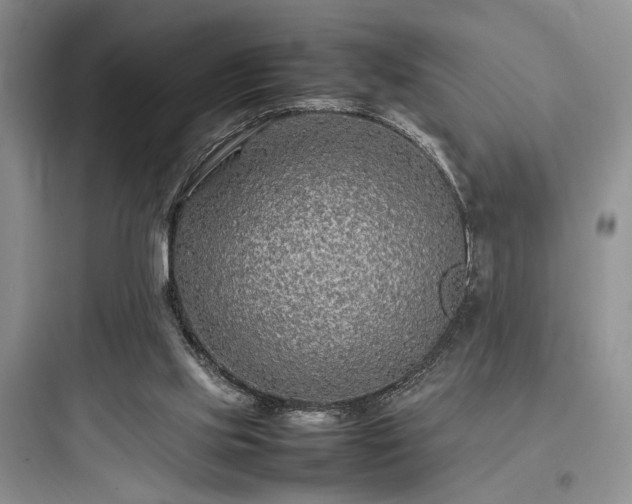X0000097900061200803211451