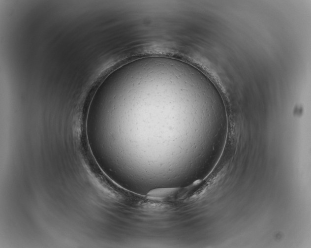 X0000097900063200803211451