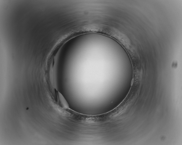 X0000097900064200803211451