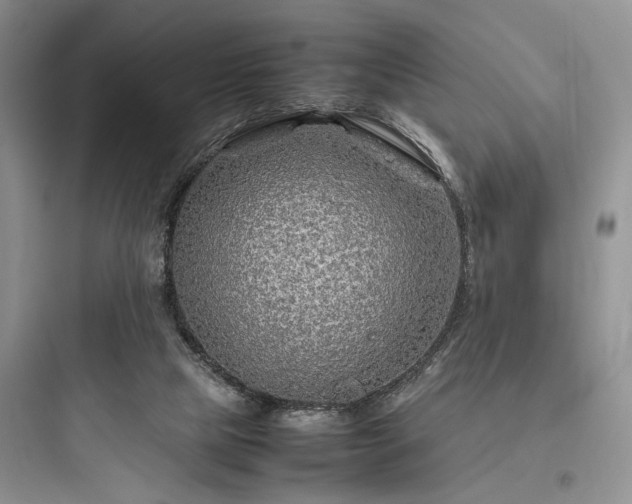 X0000097900065200803211451