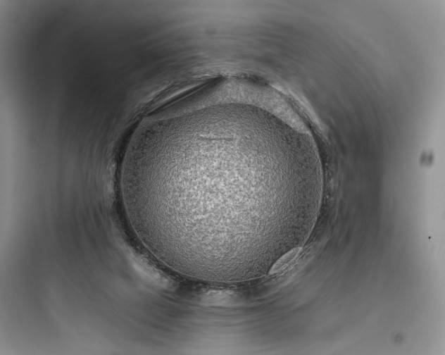 X0000097900066200803211451