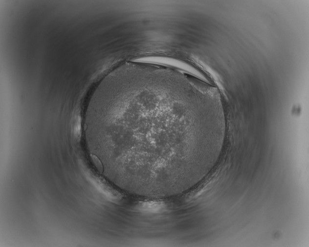 X0000097900067200803211451