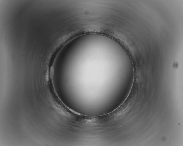 X0000097900068200803211451