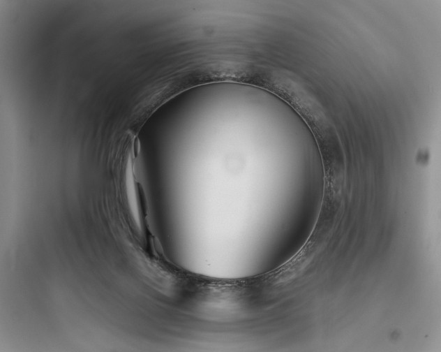 X0000097900070200803211451
