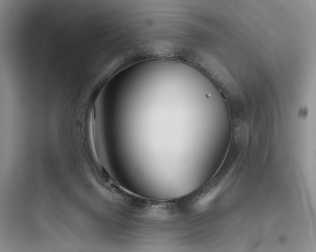 X0000097900072200803211451