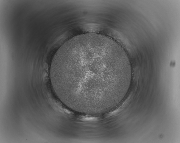 X0000097900073200803211451