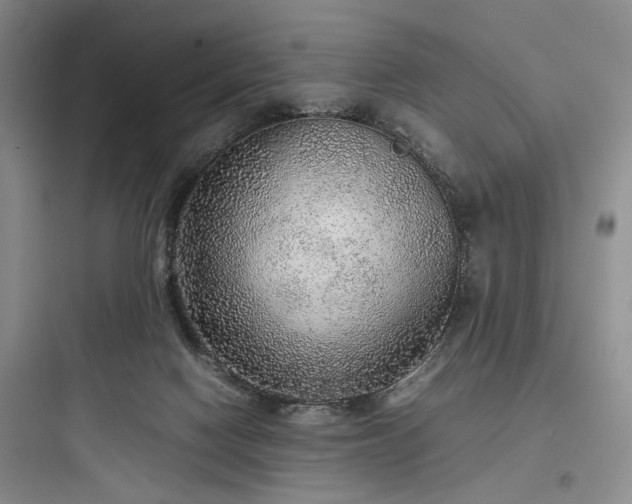 X0000097900074200803211451